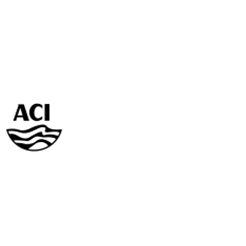 ACI Motors